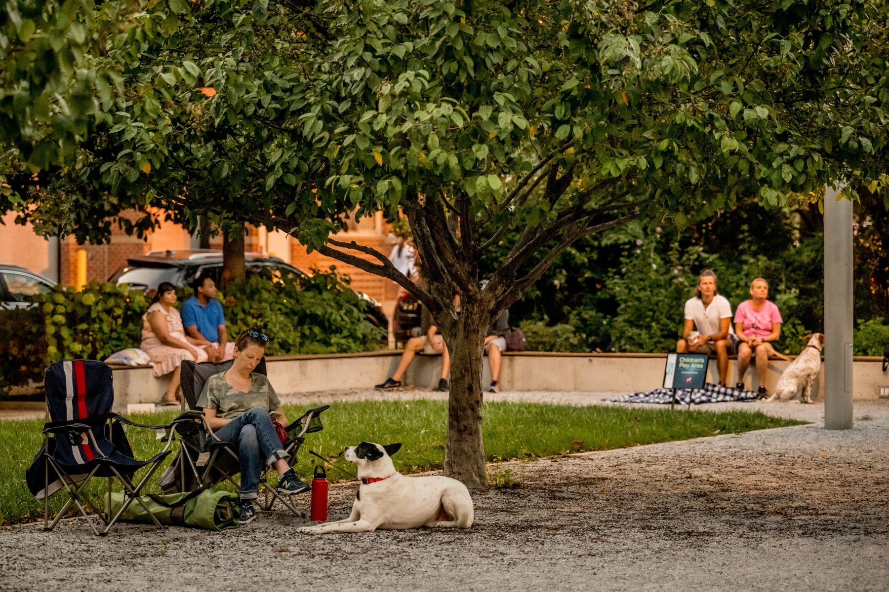 Neighbors relaxing in lawn chairs under a tree in a small city park, a dog resting nearby