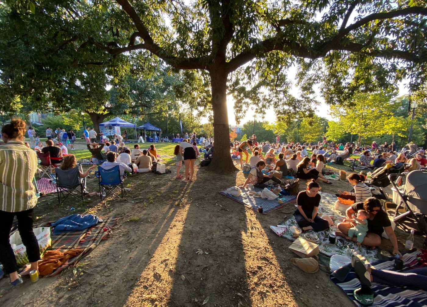 A packed crowd picnicking under a large tree at Kalorama Park